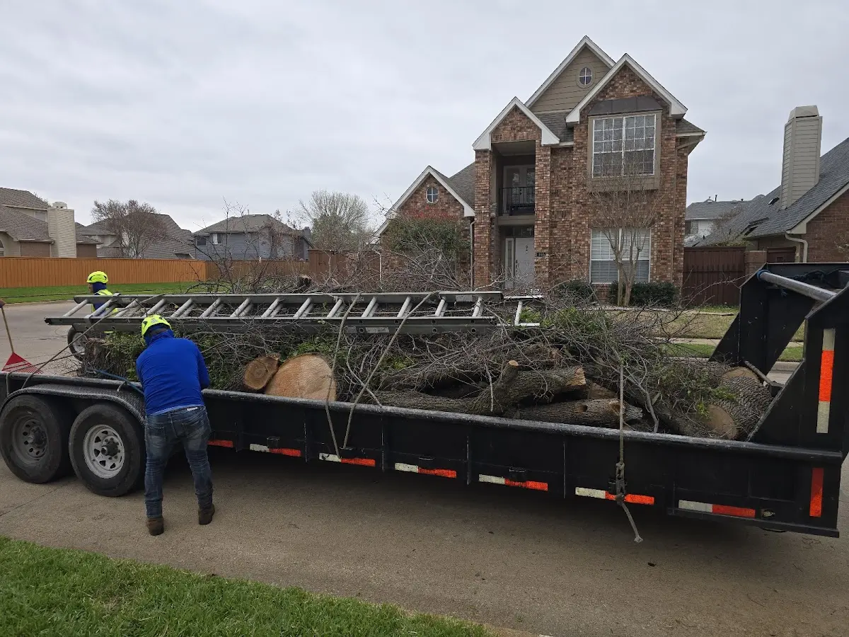 Expert Lot Clearing with proper safety equipment in Boody